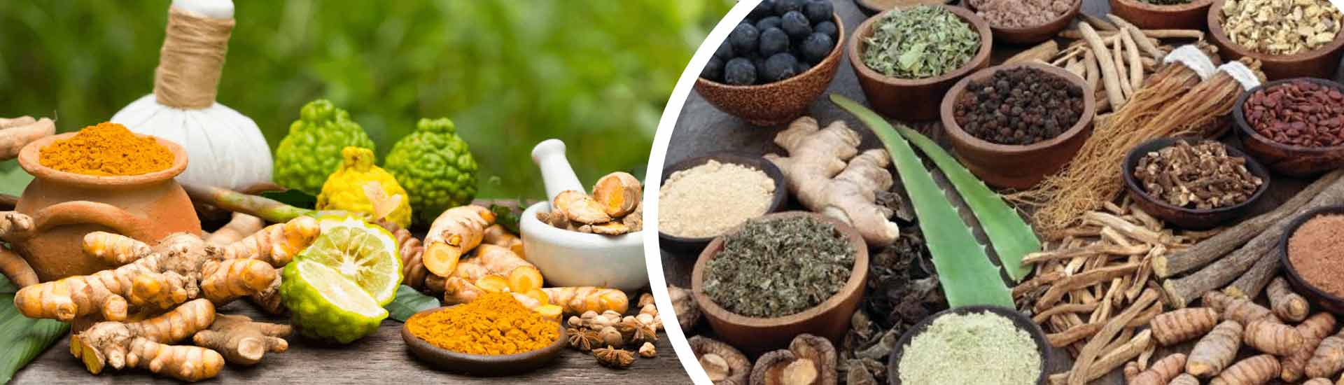 Top Ayurvedic Principles for Managing Diseases